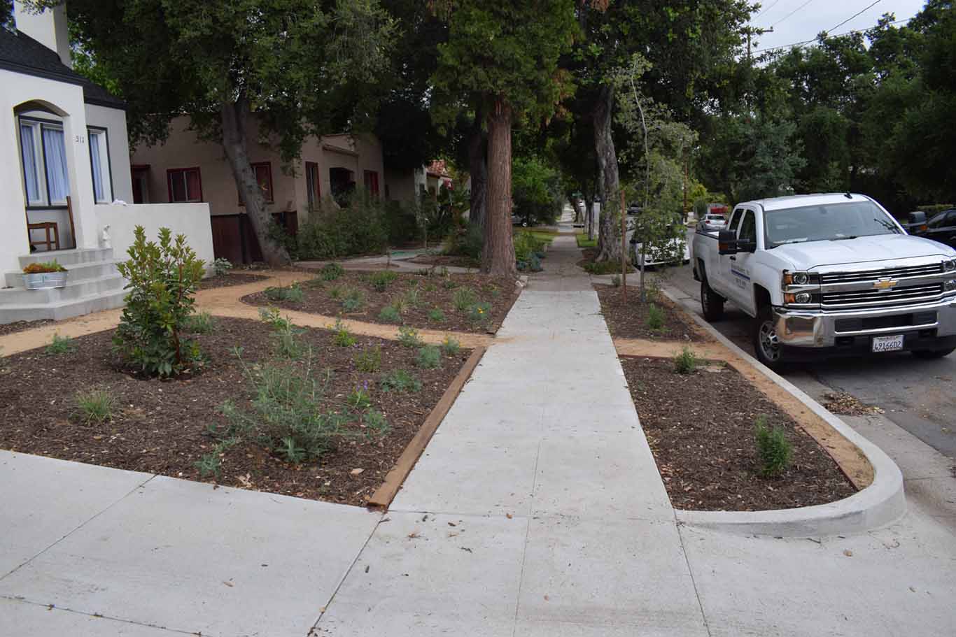 Decomposed granite pathway in a newly planted garden showing the path and a narrow “walking strip” to allow car doors to open and people to walk along the curb to the central path. If the parking strip planter was wider, a wider walking strip might be desirable.