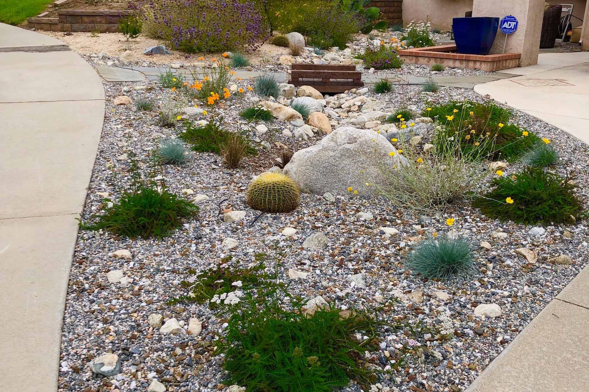 Garden in Rancho Cucamonga mixing sizes of gravel and boulders, flagstone, and an area of decomposed granite mulch in the background.